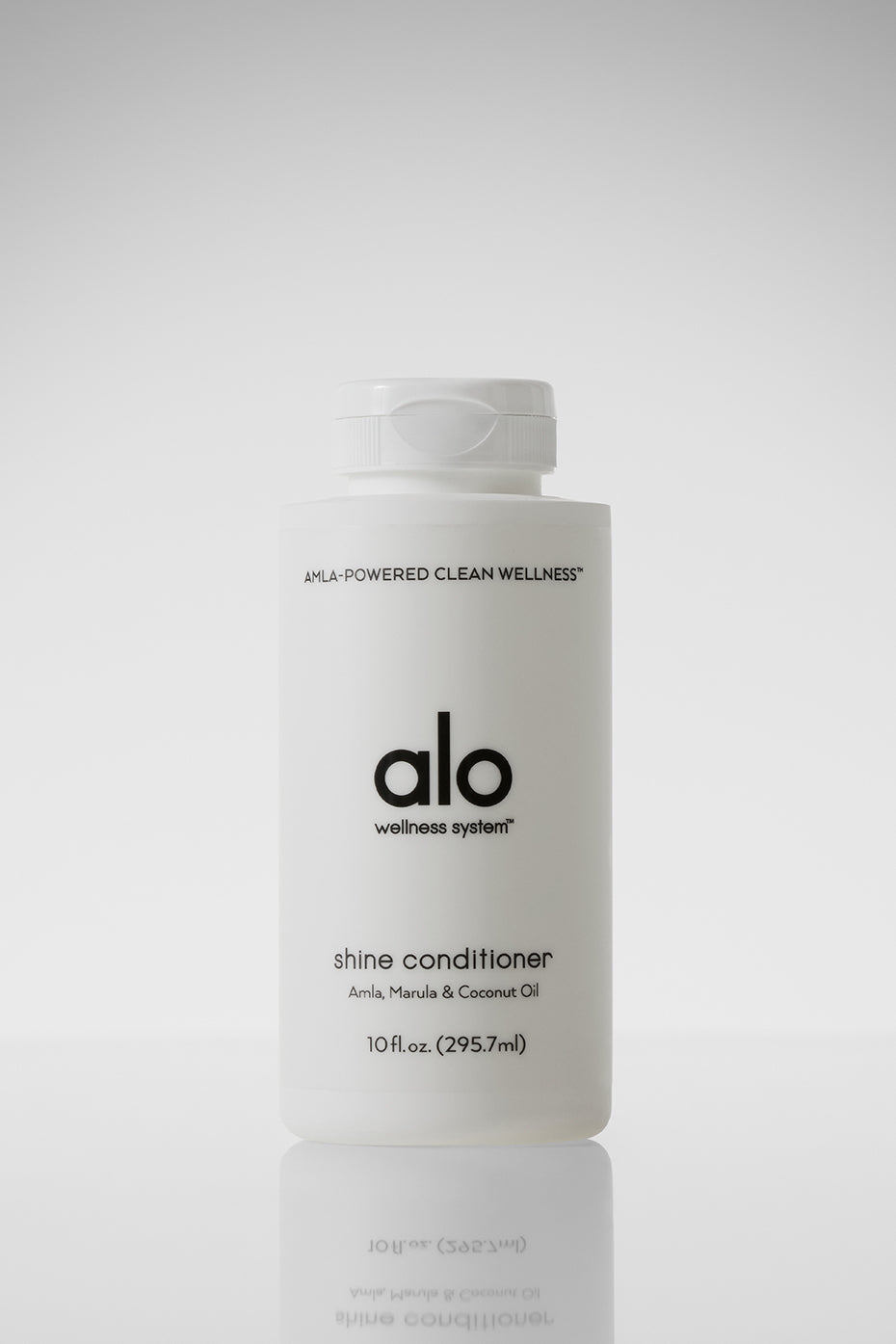 Shine Conditioner — photo 1