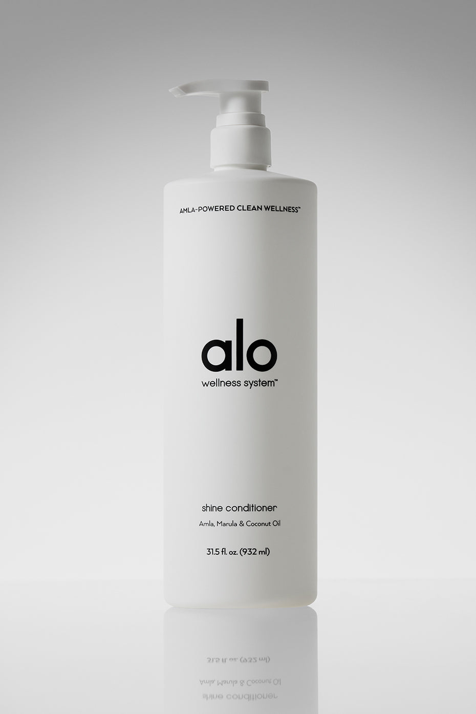 Shine Conditioner — photo 1