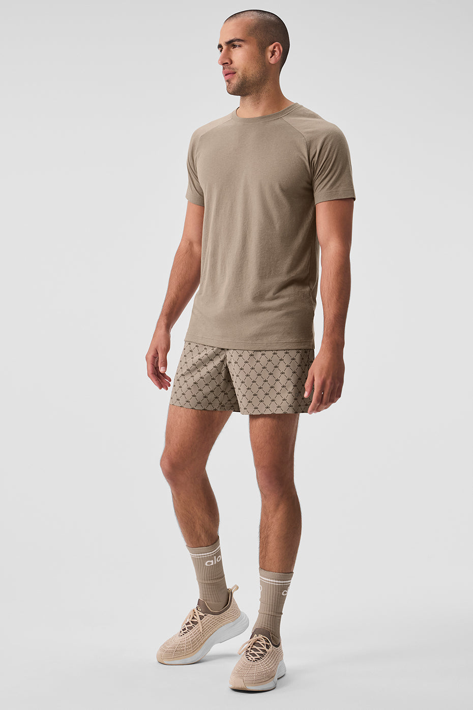 Triumph Raglan Tee - Gravel — photo 5