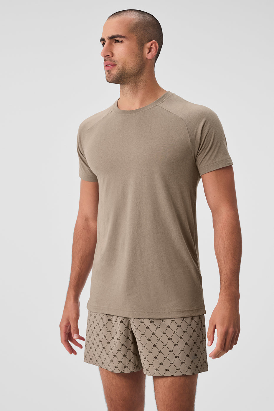 Triumph Raglan Tee - Gravel — photo 1