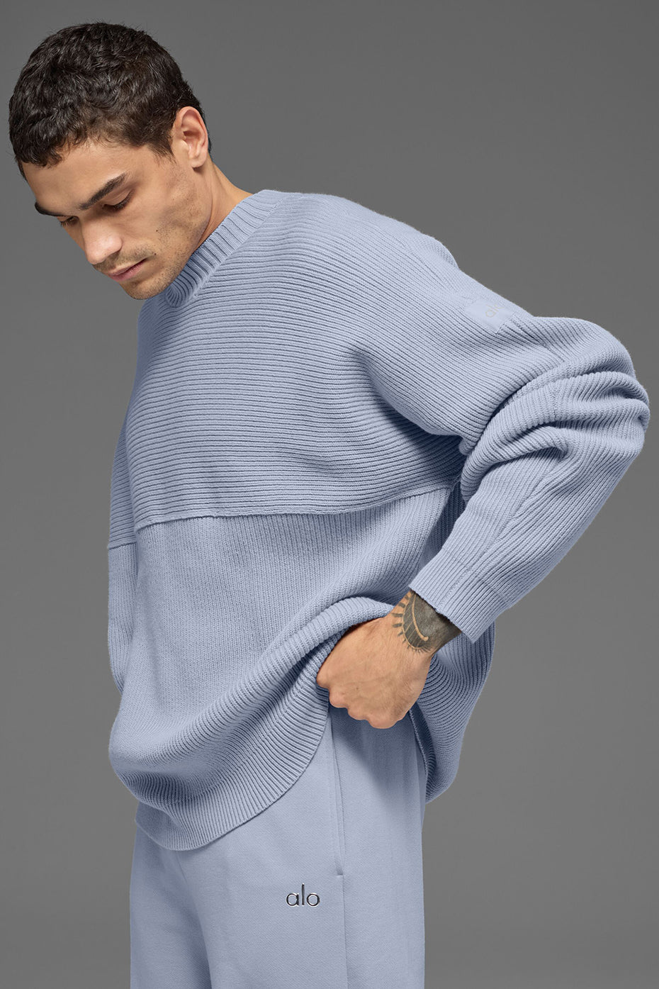 Domain Shift Rib Knit Sweater Crew - Winter Frost — photo 3