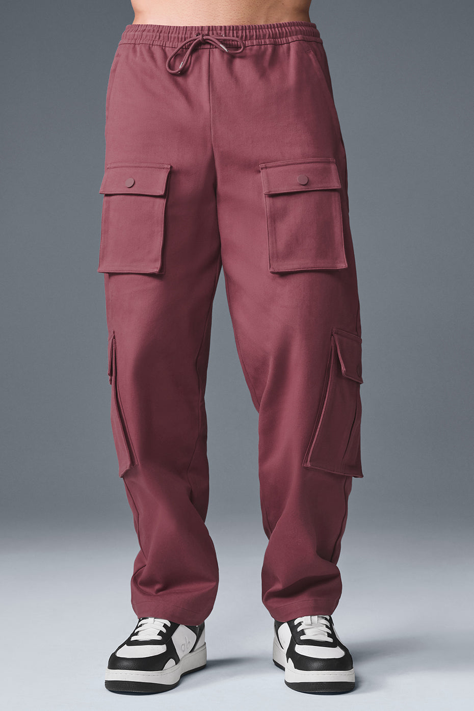 Northstar Cargo Pant - Burgundy Truffle — photo 1