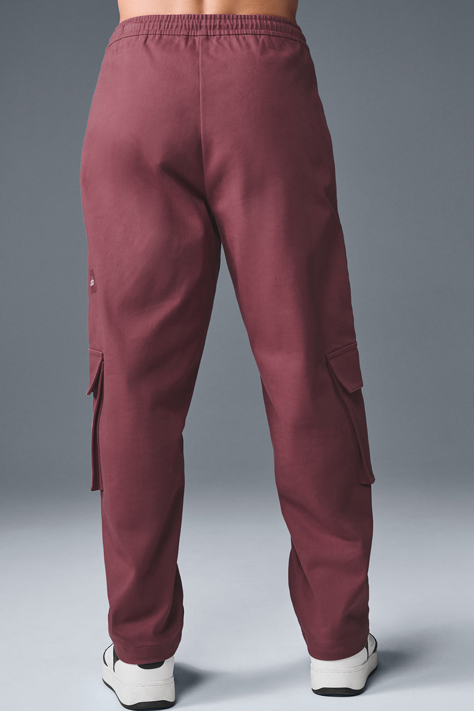 Northstar Cargo Pant - Burgundy Truffle — photo 2