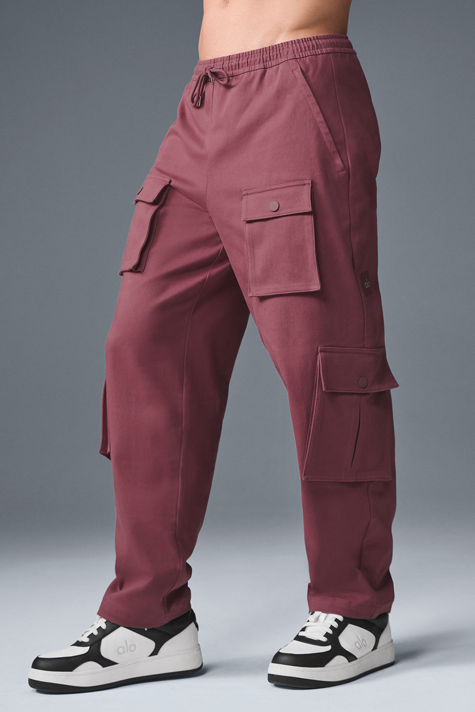 Northstar Cargo Pant - Burgundy Truffle — photo 3