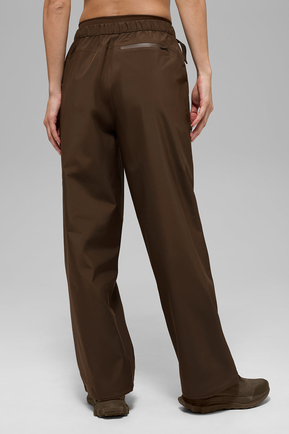 Alpha Shell Pant - Espresso — photo 3