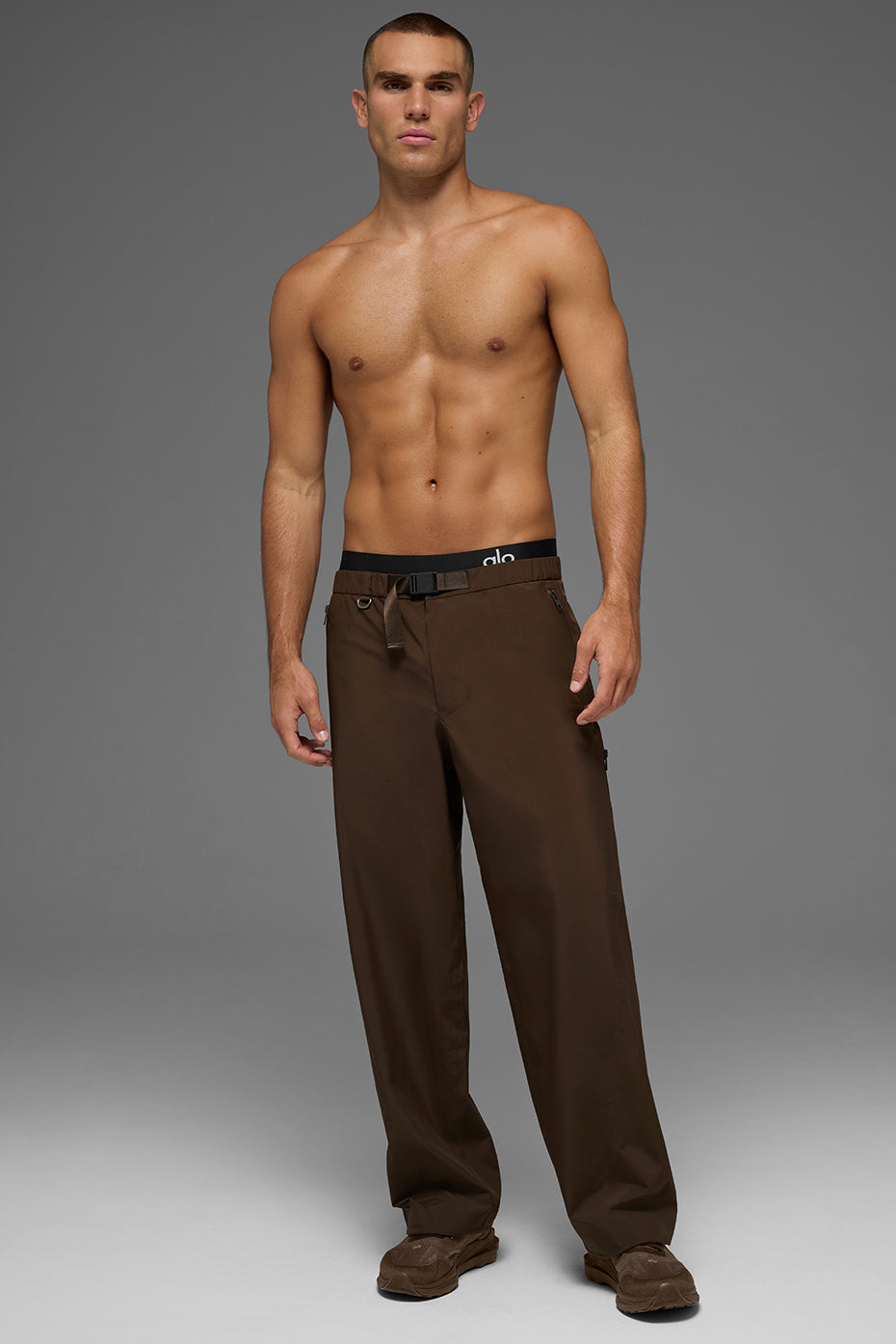 Alpha Shell Pant - Espresso — photo 4