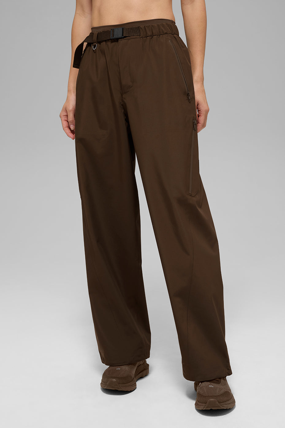 Alpha Shell Pant - Espresso — photo 1
