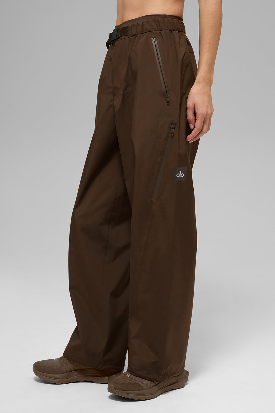 Alpha Shell Pant - Espresso — photo 4