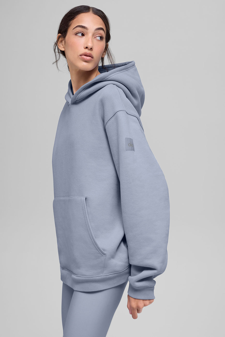 Renown Heavy Weight Hoodie - Winter Frost — photo 3