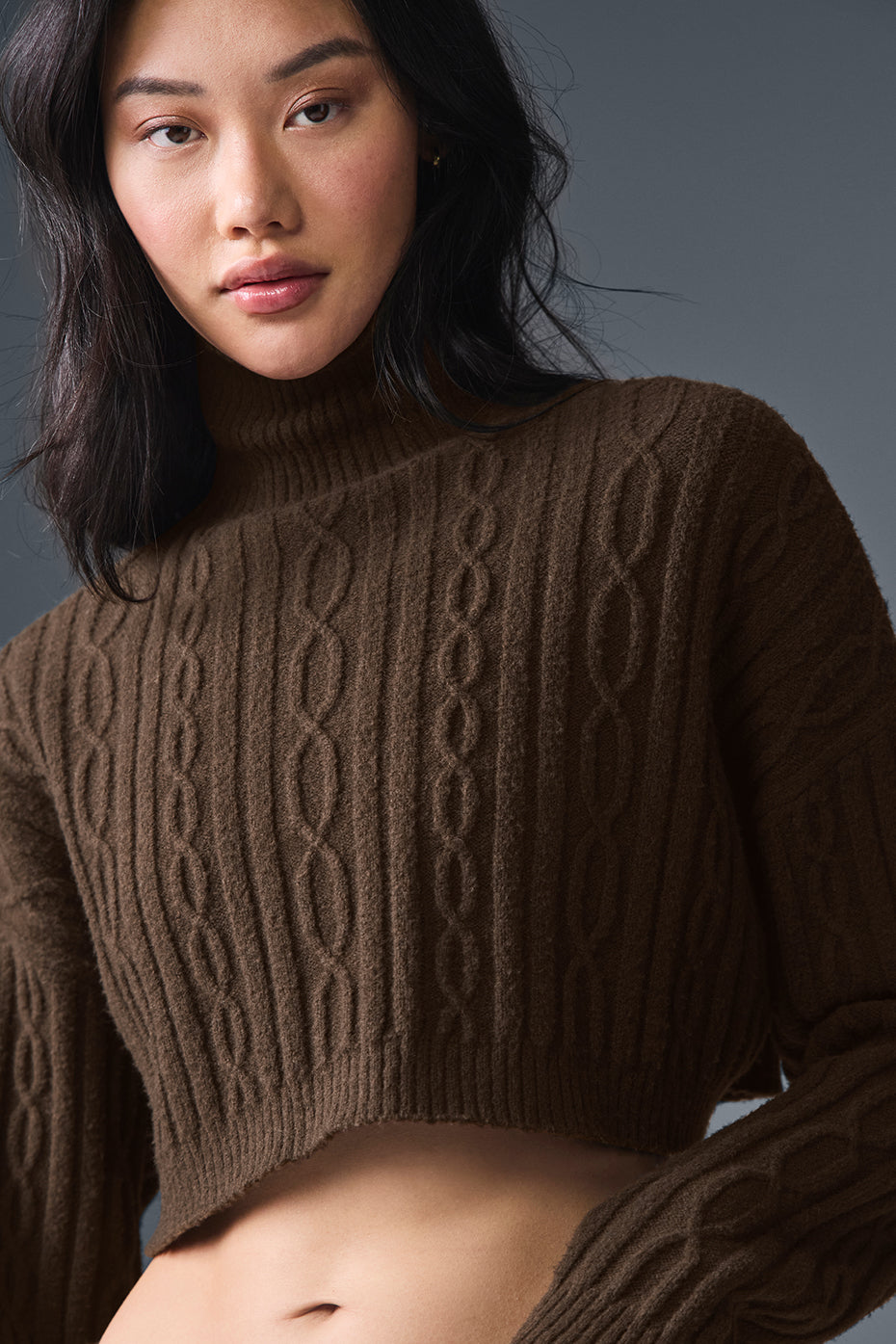 Cable Knit Cropped Winter Bliss Turtleneck Long Sleeve - Espresso — photo 4